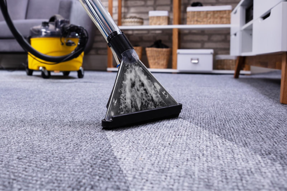 Professional carpet cleaning in action, featuring a carpet cleaning tool on gray carpet with a yellow vacuum in the background, illustrating Steamatic of Tampa's commitment to enhancing indoor air quality and comfort.